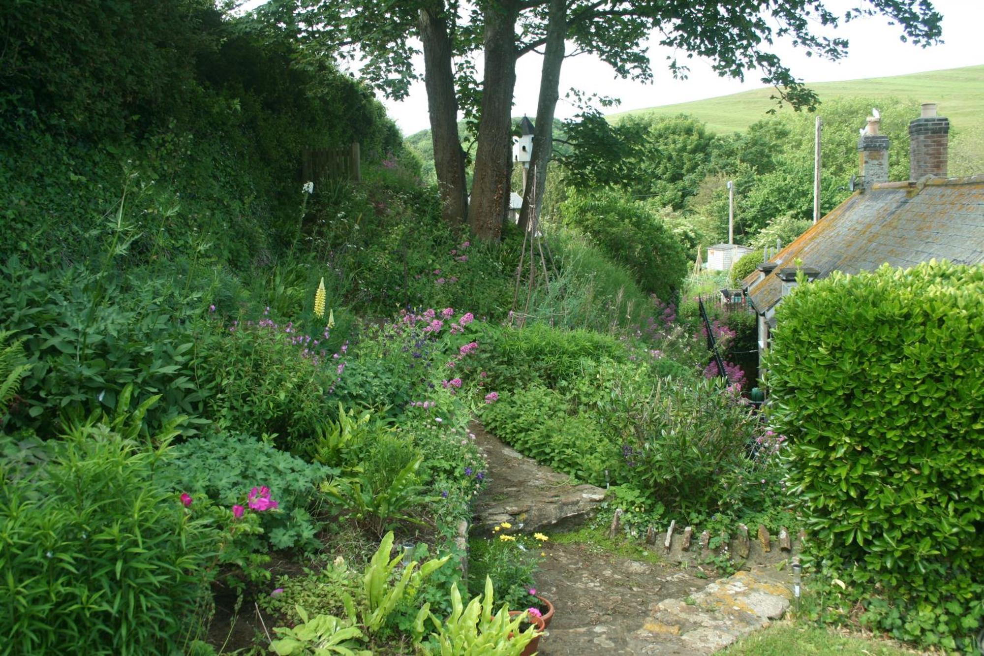 The Cottage Abbotsbury Exterior photo