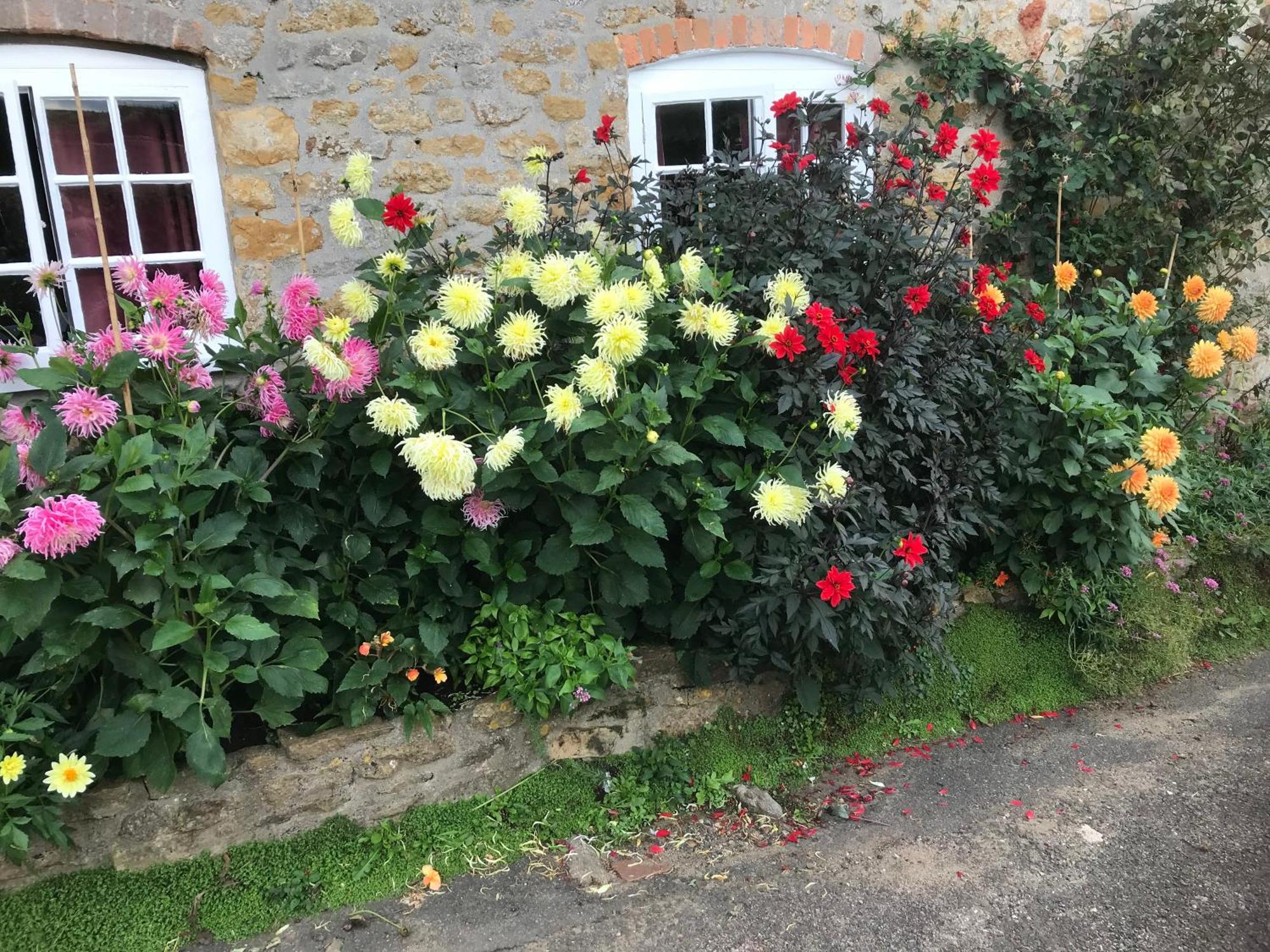 The Cottage Abbotsbury Exterior photo