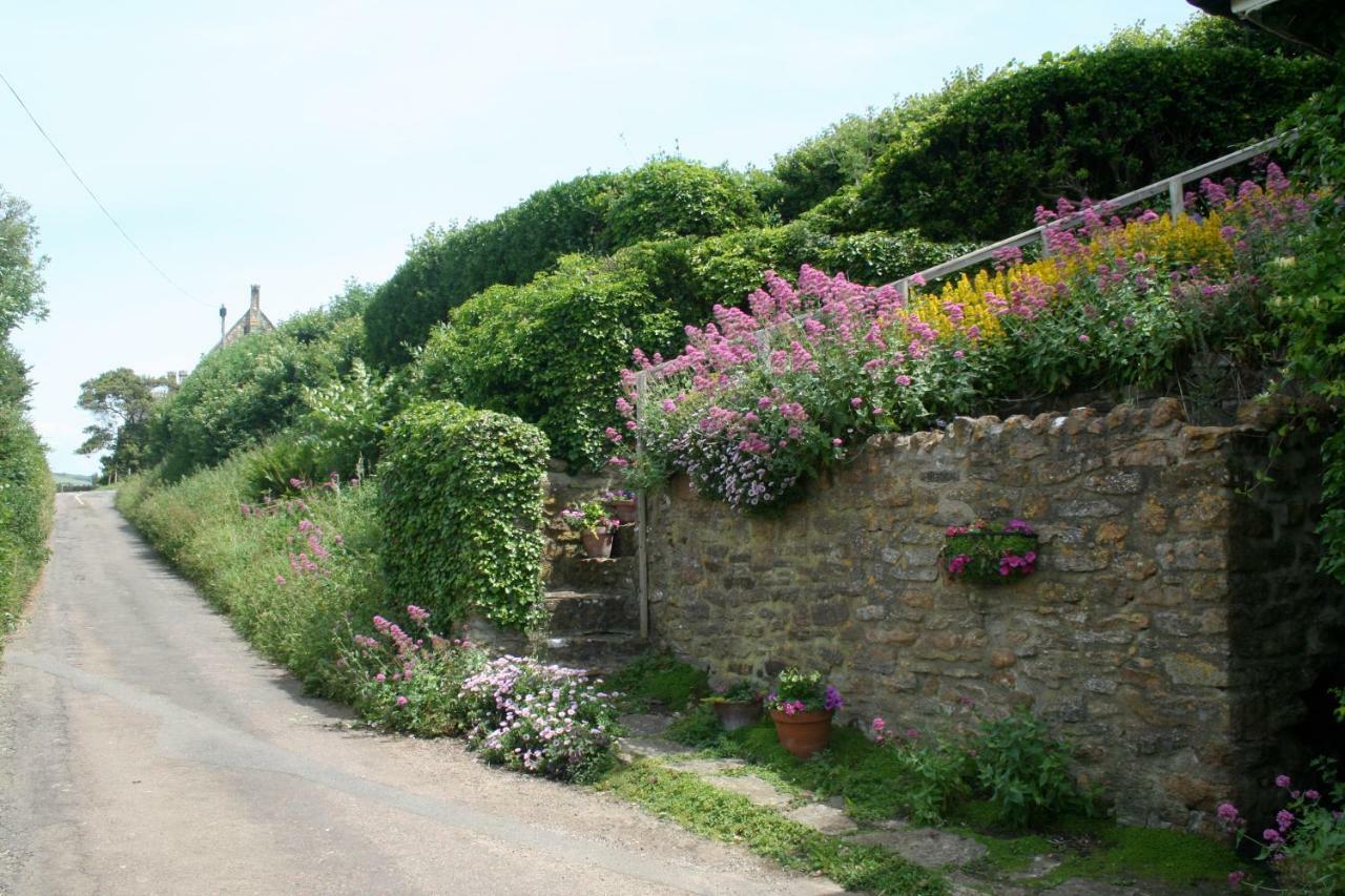 The Cottage Abbotsbury Exterior photo